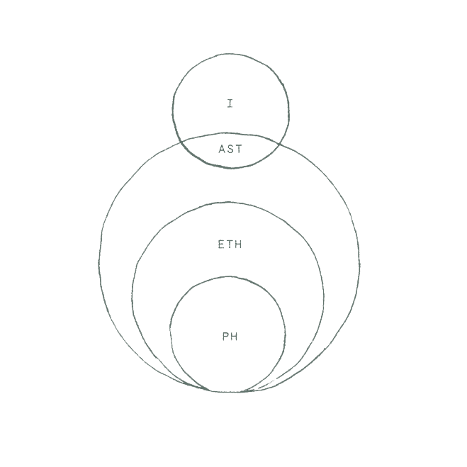 The four layers of the body (physical, ether, astral, I) from an anthroposophic lens